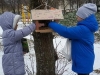 image_6483441-3